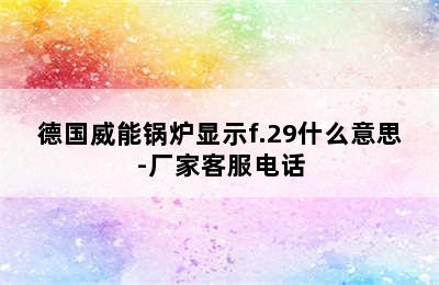 德国威能锅炉显示f.29什么意思-厂家客服电话