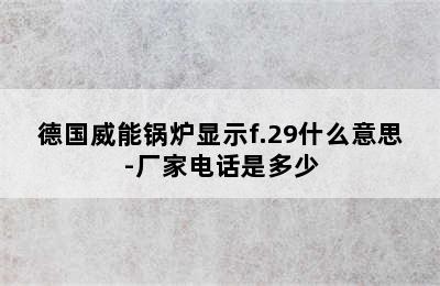 德国威能锅炉显示f.29什么意思-厂家电话是多少