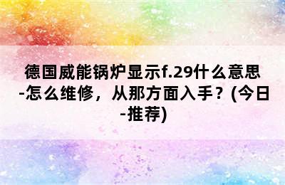 德国威能锅炉显示f.29什么意思-怎么维修，从那方面入手？(今日-推荐)