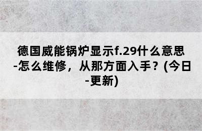 德国威能锅炉显示f.29什么意思-怎么维修，从那方面入手？(今日-更新)