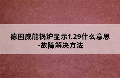 德国威能锅炉显示f.29什么意思-故障解决方法