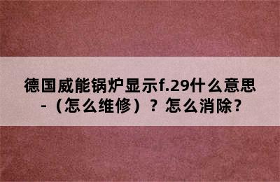 德国威能锅炉显示f.29什么意思-（怎么维修）？怎么消除？