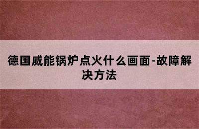 德国威能锅炉点火什么画面-故障解决方法