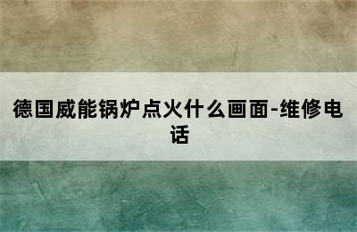 德国威能锅炉点火什么画面-维修电话