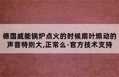 德国威能锅炉点火的时候扇叶煽动的声音特别大,正常么-官方技术支持