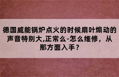 德国威能锅炉点火的时候扇叶煽动的声音特别大,正常么-怎么维修，从那方面入手？