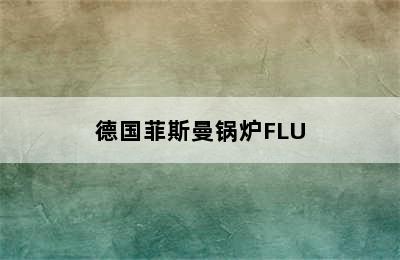 德国菲斯曼锅炉FLU