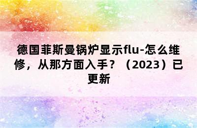 德国菲斯曼锅炉显示flu-怎么维修，从那方面入手？（2023）已更新