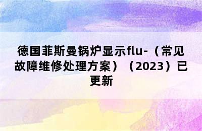 德国菲斯曼锅炉显示flu-（常见故障维修处理方案）（2023）已更新