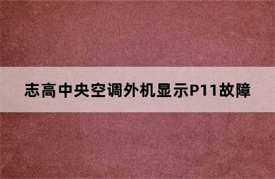 志高中央空调外机显示P11故障