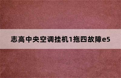 志高中央空调挂机1拖四故障e5