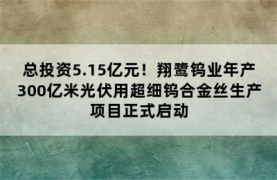 总投资5.15亿元！翔鹭钨业年产300亿米光伏用超细钨合金丝生产项目正式启动