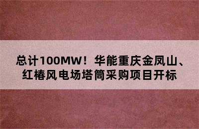 总计100MW！华能重庆金凤山、红椿风电场塔筒采购项目开标