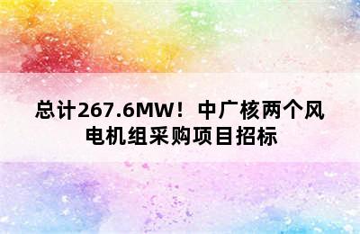 总计267.6MW！中广核两个风电机组采购项目招标