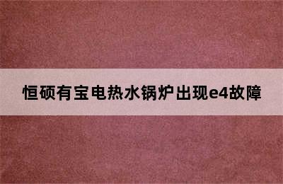 恒硕有宝电热水锅炉出现e4故障