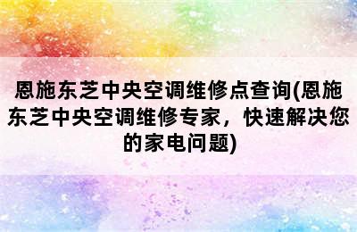 恩施东芝中央空调维修点查询(恩施东芝中央空调维修专家，快速解决您的家电问题)