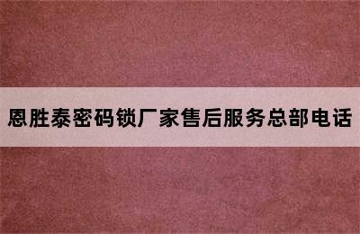 恩胜泰密码锁厂家售后服务总部电话