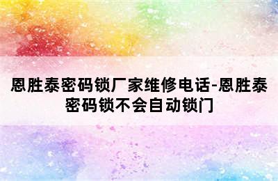 恩胜泰密码锁厂家维修电话-恩胜泰密码锁不会自动锁门