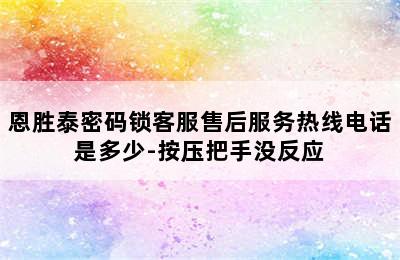 恩胜泰密码锁客服售后服务热线电话是多少-按压把手没反应