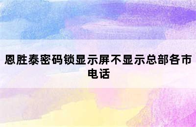 恩胜泰密码锁显示屏不显示总部各市电话