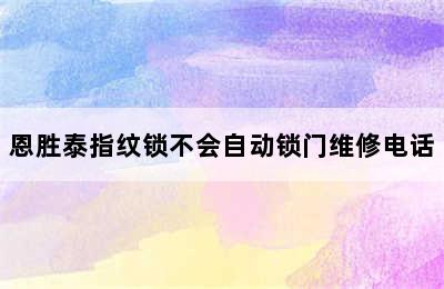 恩胜泰指纹锁不会自动锁门维修电话