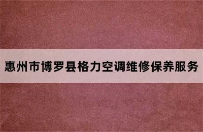 惠州市博罗县格力空调维修保养服务