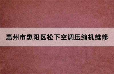 惠州市惠阳区松下空调压缩机维修