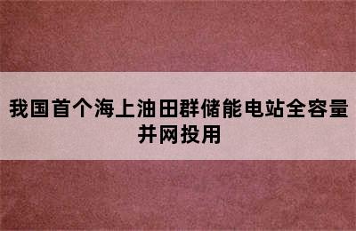 我国首个海上油田群储能电站全容量并网投用