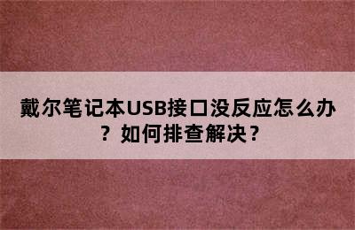 戴尔笔记本USB接口没反应怎么办？如何排查解决？