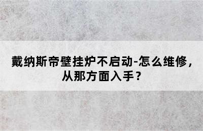 戴纳斯帝壁挂炉不启动-怎么维修，从那方面入手？