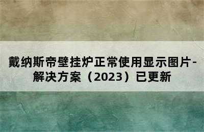 戴纳斯帝壁挂炉正常使用显示图片-解决方案（2023）已更新