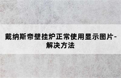 戴纳斯帝壁挂炉正常使用显示图片-解决方法