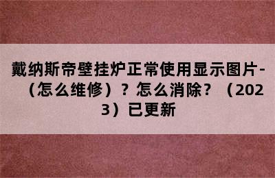 戴纳斯帝壁挂炉正常使用显示图片-（怎么维修）？怎么消除？（2023）已更新