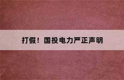 打假！国投电力严正声明