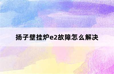 扬子壁挂炉e2故障怎么解决