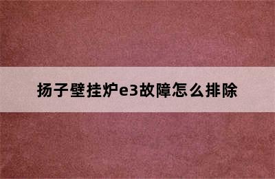 扬子壁挂炉e3故障怎么排除