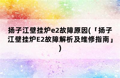 扬子江壁挂炉e2故障原因(「扬子江壁挂炉E2故障解析及维修指南」)