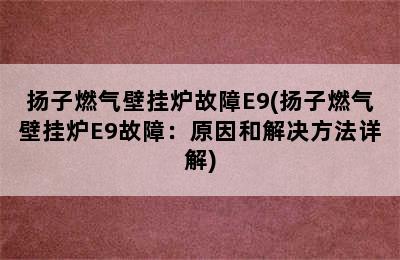 扬子燃气壁挂炉故障E9(扬子燃气壁挂炉E9故障：原因和解决方法详解)