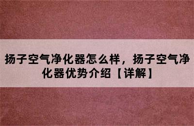 扬子空气净化器怎么样，扬子空气净化器优势介绍【详解】