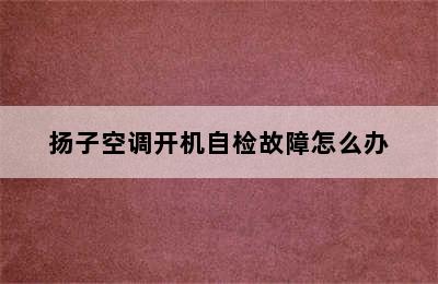 扬子空调开机自检故障怎么办