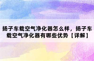 扬子车载空气净化器怎么样，扬子车载空气净化器有哪些优势【详解】