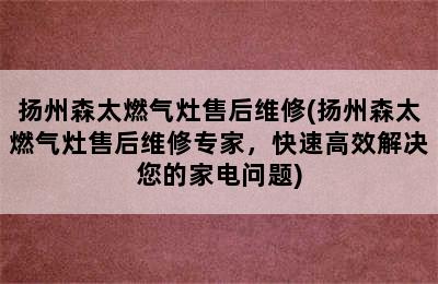 扬州森太燃气灶售后维修(扬州森太燃气灶售后维修专家，快速高效解决您的家电问题)