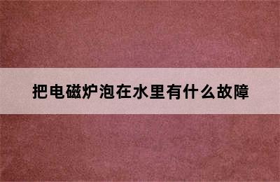 把电磁炉泡在水里有什么故障