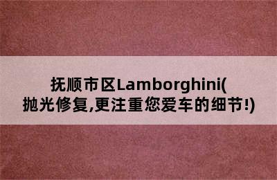 抚顺市区Lamborghini(抛光修复,更注重您爱车的细节!)