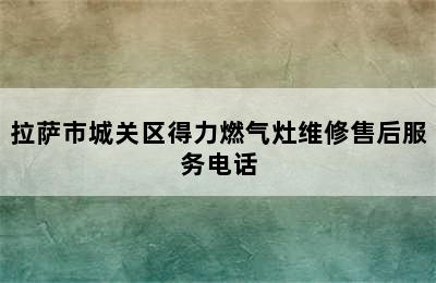 拉萨市城关区得力燃气灶维修售后服务电话