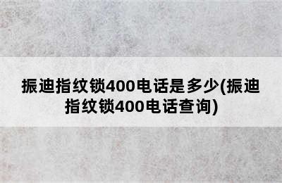 振迪指纹锁400电话是多少(振迪指纹锁400电话查询)