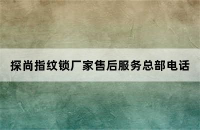 探尚指纹锁厂家售后服务总部电话