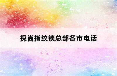 探尚指纹锁总部各市电话