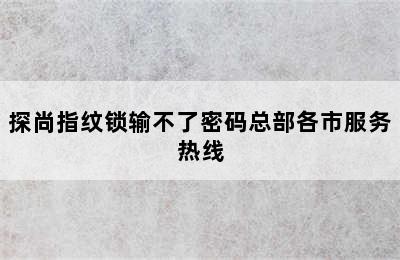 探尚指纹锁输不了密码总部各市服务热线