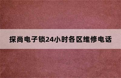 探尚电子锁24小时各区维修电话